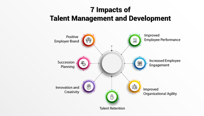Enhancing Employee Experience Through Talent Management Systems