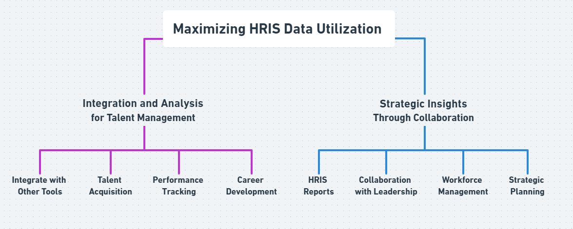 Maximizing HRIS Data UtilizationÂ