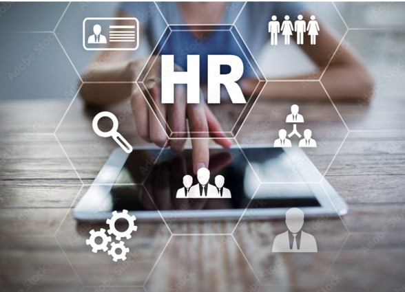 What are the HR database systems? Â