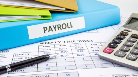 Complete Guide to Payroll Process in India